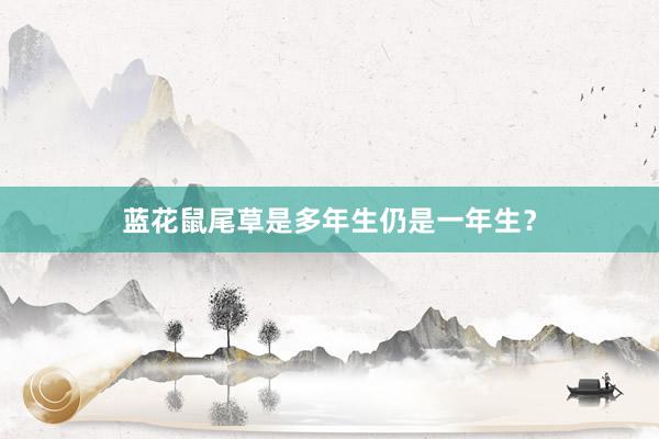 蓝花鼠尾草是多年生仍是一年生?