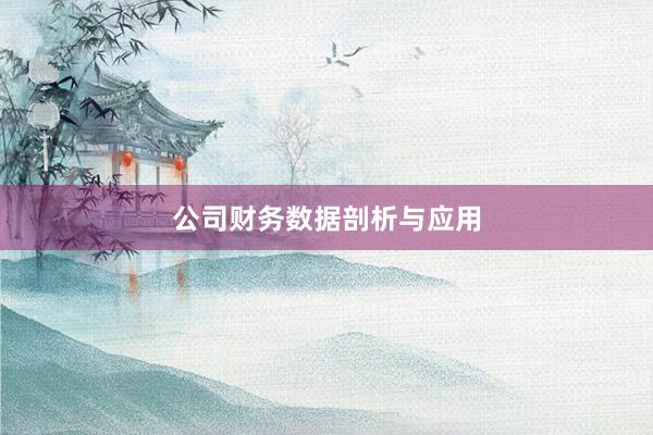 公司财务数据剖析与应用