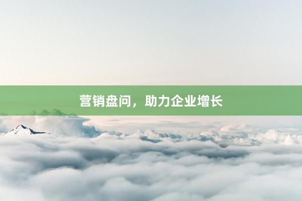 营销盘问，助力企业增长